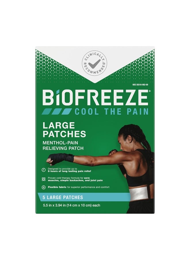 Biofreeze Pack Of 5Large Pain Relief Patches - Image 1